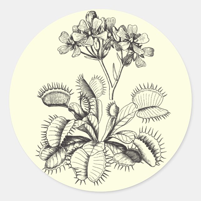 Venus Flytrap Sticker (Front)