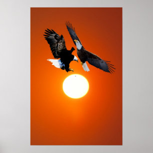 Venus in transit with eagles poster