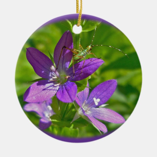 Venus Looking Glass Wildflower & Grasshopper Ceramic Tree Decoration (Front)