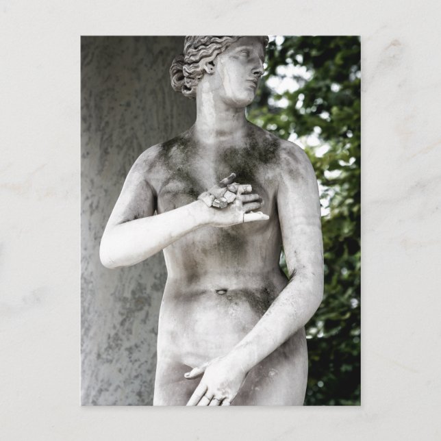 Venus Postcard (Front)