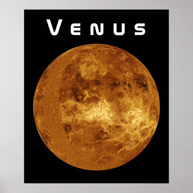 Venus Poster (Front)