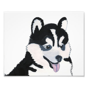 Venus Pup Print