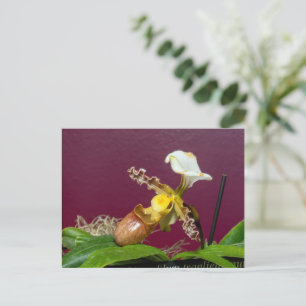 Venus Slipper Orchid Holiday Postcard