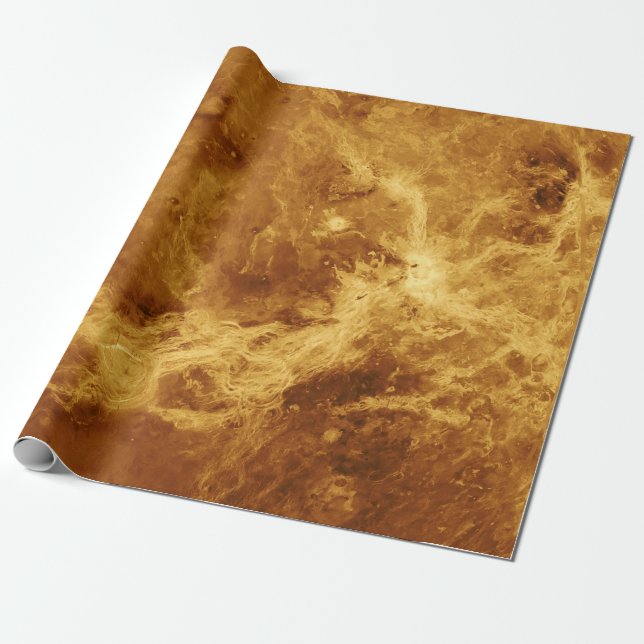 VENUS WRAPPING PAPER (Unrolled)