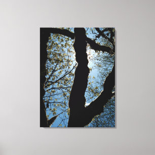 VER CANVAS PRINT