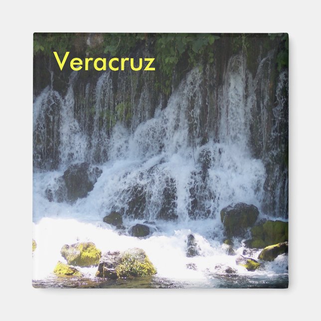 Veracruz Mexico magnet (Front)