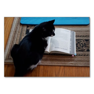 Verb Looking, Cat Reading FlashCards for Adults Table Number