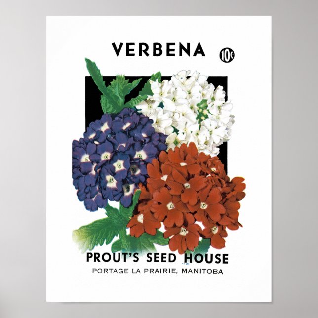 Verbena Seed Packet Label Poster (Front)