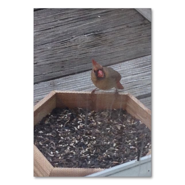 Verbs Eating Sitting Robin Bird Reading Flashcards Table Number (Front)