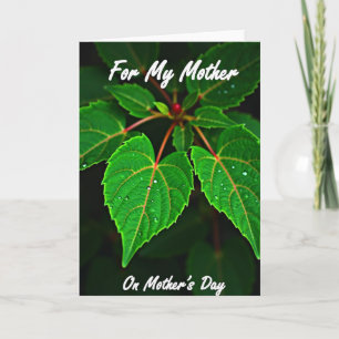 Verdant Mother Illustration Card