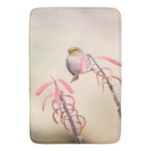 Verdin perched on penstemon bath mat