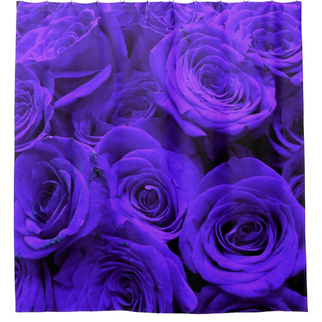 Veri peri periwinkle blue purple roses      shower curtain (Front)
