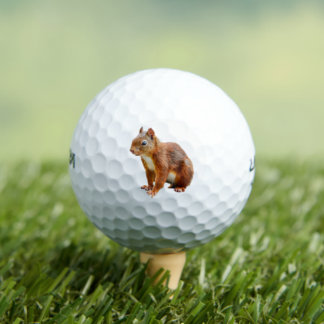 Véritable Écureuil Roux Mignon stylisé Golf Balls