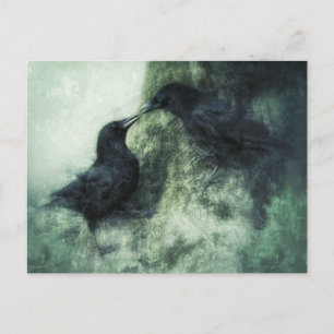 Verliebte Krähen Raben Vögel Postcard