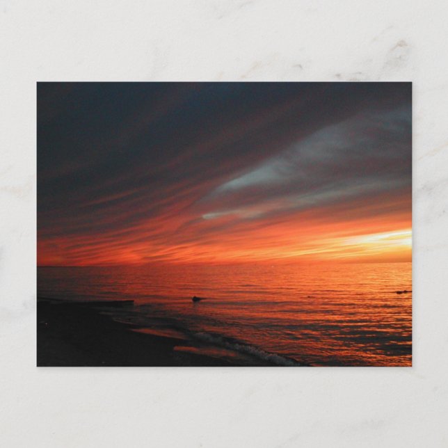 Vermilion Sunset 062907 Postcard (Front)