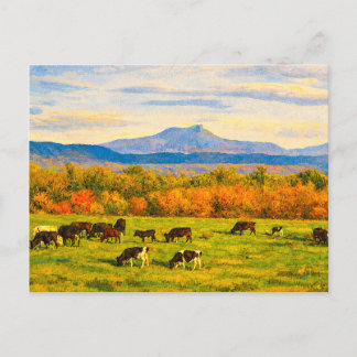 Vermont Camels Hump Postcard