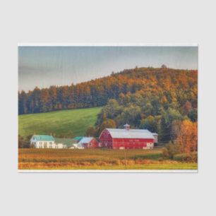 Vermont Dairy Farm in the Autumn Tissue Paper