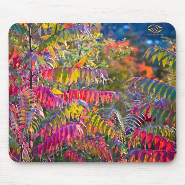 Vermont Foliage Mouse Pad (Front)