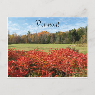 Vermont in Colour Postcard