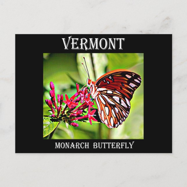 Vermont Monarch Butterfly Postcard (Front)