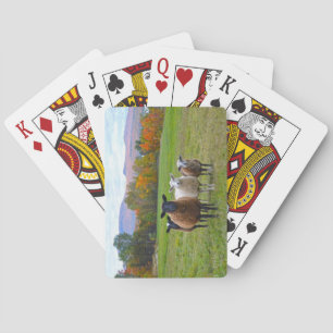 Vermont Sheep in Autumn Playing Cards