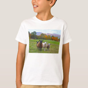 Vermont Sheep in Autumn T-Shirt