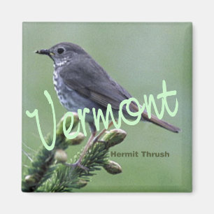 Vermont State Bird Hermit Thrush Fridge Magnet