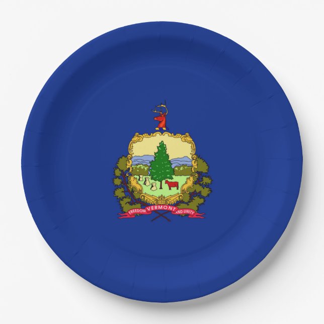 Vermont State Flag Design Decor Paper Plate (Front)