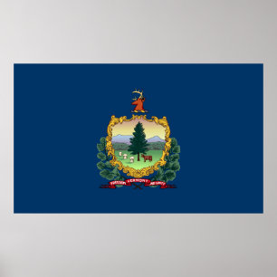 Vermont state flag poster
