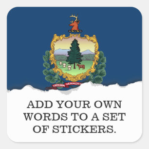 Vermont State Flag Square Sticker