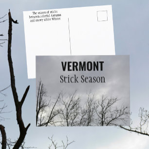 Vermont Stick Season New England Photographic Postcard
