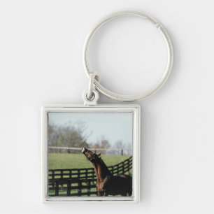 Vermont, USA 2 Key Ring