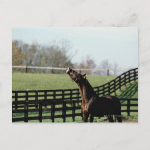 Vermont, USA 2 Postcard