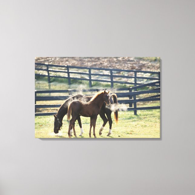 Vermont, USA Canvas Print (Front)