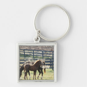 Vermont, USA Key Ring