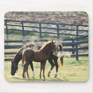 Vermont, USA Mouse Pad