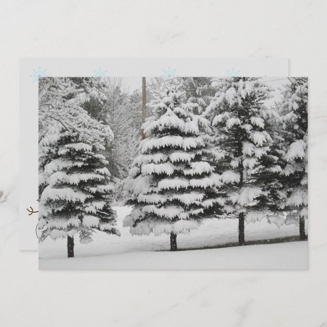Vermont's Winter Wonderland in B&W Flat Card (Front/Back)