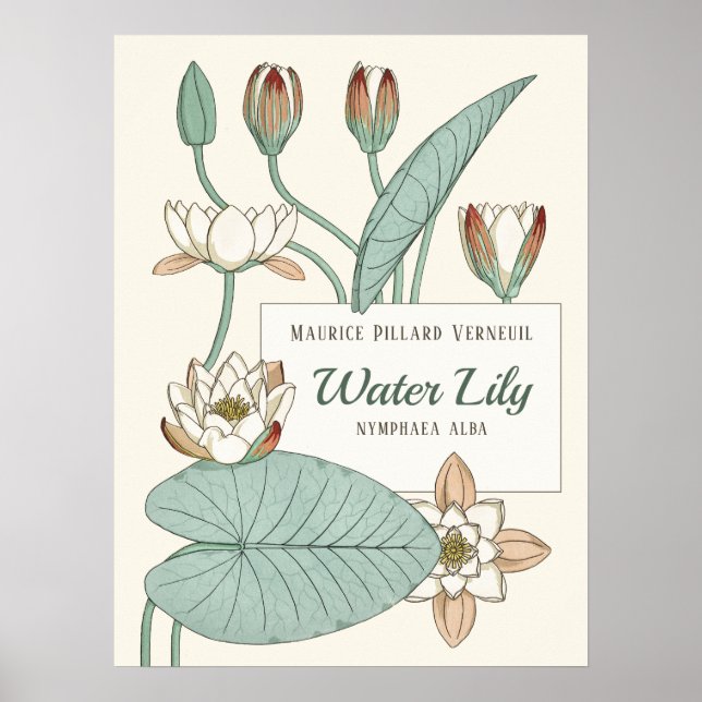 Verneuil Water lily Decorative Art Nouveau flowers Poster (Front)