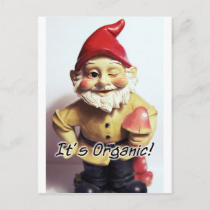 Veronica the Gnome Postcard