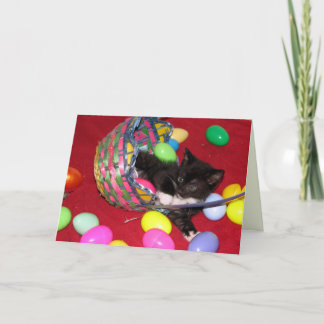 Versace's Easter Wishes - Cat / Kitten Holiday Card