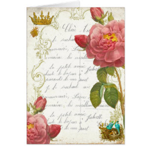 Versailles Marie Antoinette Garden Roses