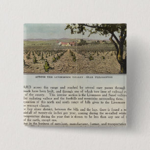 Verso Alameda County 15 Cm Square Badge