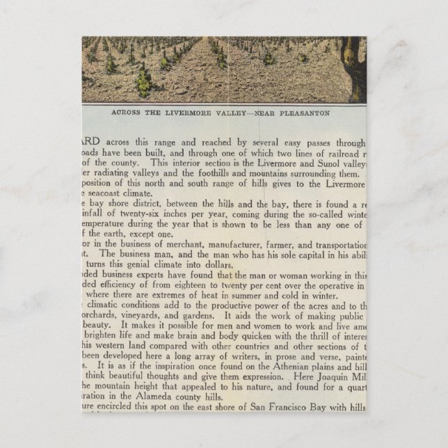 Verso Alameda County Postcard (Front)