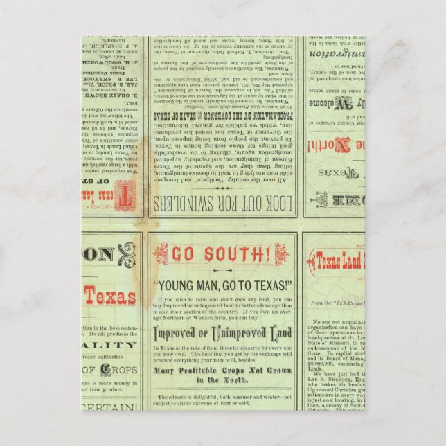 Verso State of Texas Postcard (Front)