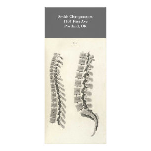 Vertebrae Drawing Rack Card