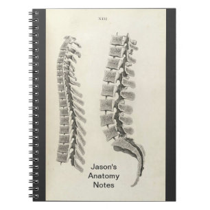 Vertebrae Drawing Spiral Notebook