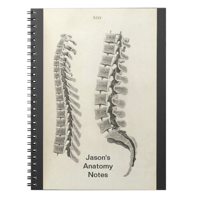 Vertebrae Drawing Spiral Notebook (Front)