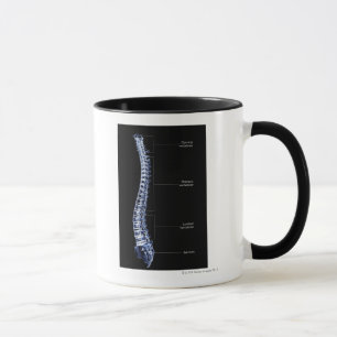 Vertebral Column 4 Mug