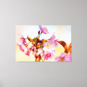 Vertical Cluster Of Sakura Flowers In The Garden Canvas Print