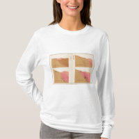 Vertical Cross Sections of the Lode, Utah shaft
